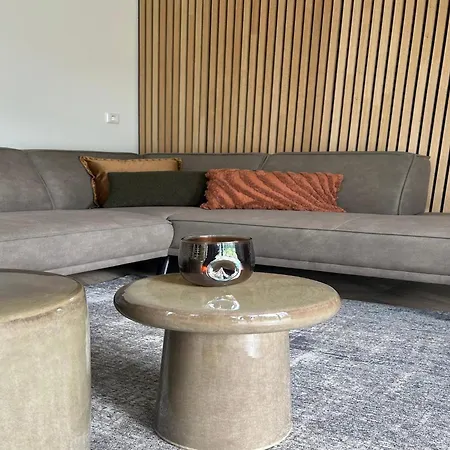 Forest Luxury Retreat In Holiday home Ulicoten